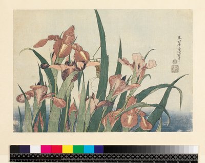 Iris og gresshoppe, pub. av Nishimura Eijudo, ca. 1832, (yoko-e - horisontalt format, farget treblokktrykk) av Katsushika Hokusai