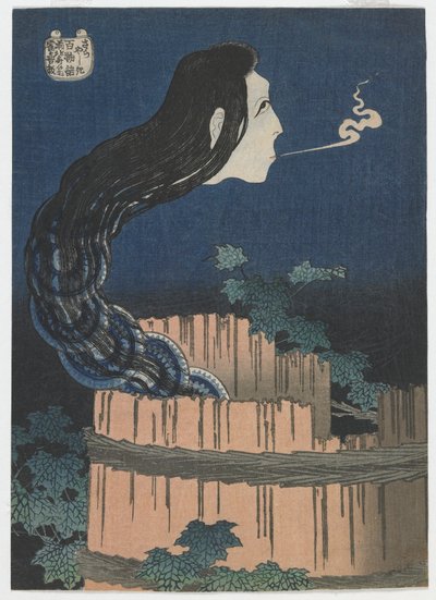 One Hundred Ghost Tales: Sarayashiki, Edo-perioden, 1831-32 (treblokktrykk i farger) av Katsushika Hokusai