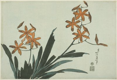 Oransje orkideer, fra en blomsterserie uten navn av Katsushika Hokusai