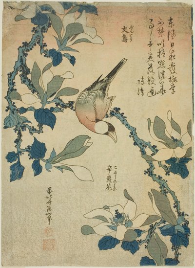 Paddy Bird and Magnolia Flowers (Buncho, kobushi no hana), fra en serie med blomster og fugler uten tittel av Katsushika Hokusai