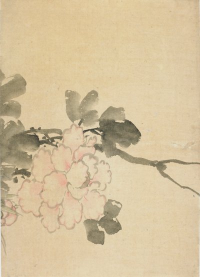 Peon, sent på 1700-tallet - begynnelsen av 1800-tallet. av Katsushika Hokusai