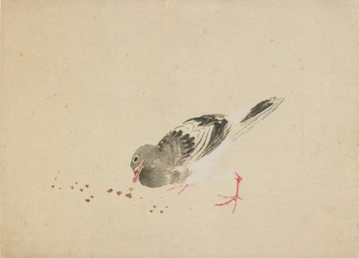 Pigeon, sent på 1700-tallet - begynnelsen av 1800-tallet. av Katsushika Hokusai