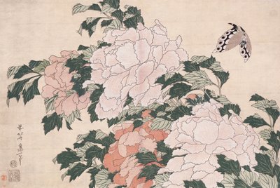 Rosa og røde peoner blåst til venstre i en bris og en sommerfugl av Katsushika Hokusai