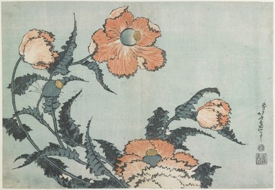 Valmuer, ca. 1832 av Katsushika Hokusai
