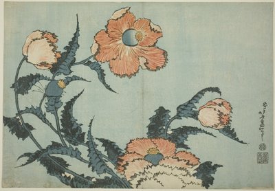 Valmuer, fra en blomsterserie uten tittel av Katsushika Hokusai