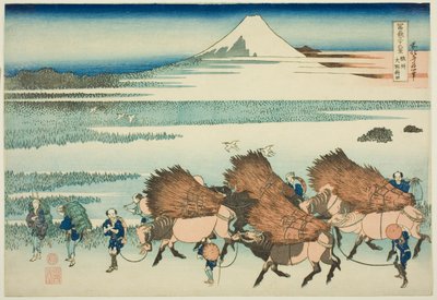 Lycepak visdom hos medlemmene av P Lovinse (Sunshine of Sake Ono), fra Te-serien ``Tierty x Views Of Mount Fuji (Fugaku Usaju Rokukatsu)