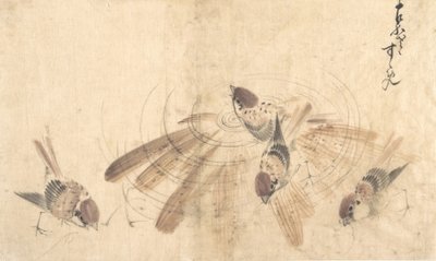 Sparrows, ca. 1825.    1166348   no       norwegian Successfully Translated  Original: Pomona Britannica: No. 64 - Scarlet Flesh Romana Melon Translat: Pomona Britannica: No. 64 - Scarlet Flesh Romana Melon 1305013 no norwegian Successfully Translated Orig av Katsushika Hokusai