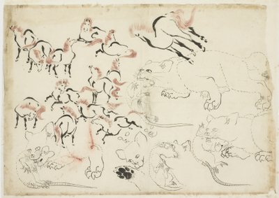 Studier av hester, katter og rotter (fra "Hokusai Manga"), ca. 1815-1849 (blekk og farge på papir) av Katsushika Hokusai