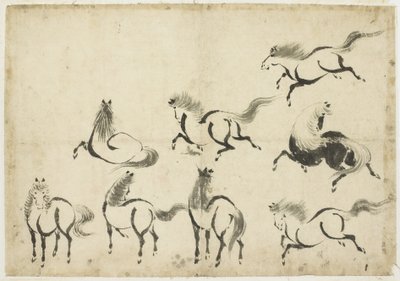 Studies of Horses, ca. 1815-1849 (blekk på papir) av Katsushika Hokusai