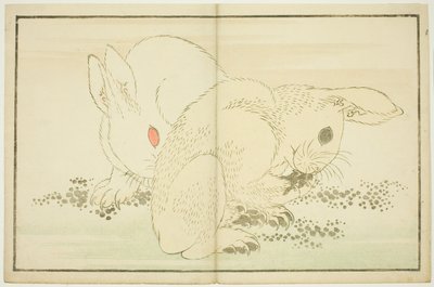 To kaniner, fra The Picture Book of Realistic Paintings of Hokusai (Hokusai shashin gafu) av Katsushika Hokusai
