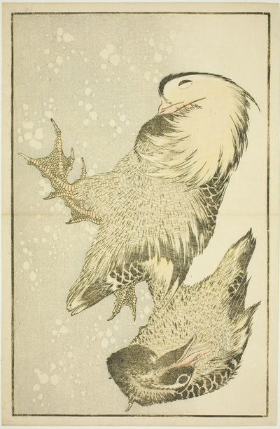 Two Waterfowl, fra The Picture Book of Realistic Paintings of Hokusai (Hokusai shashin gafu) av Katsushika Hokusai