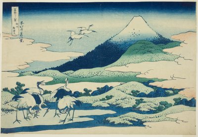 Marsh Umezawa-medlem Sagami P Rovinse (uraffinert sake Umezawa venstre), fra serien "Ti rty x Views of Mount Fuji (Fugaku Kasaju Rokukei)" av Katsushika Hokusai