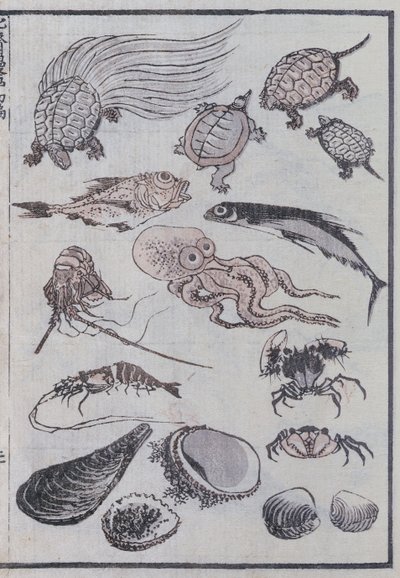 Undersjøiske skapninger, fra en Manga (farget treblokktrykk) av Katsushika Hokusai