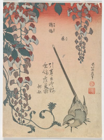 Vipstjert og Wisteria, Edo-perioden, 1834 (farget treblokktrykk) av Katsushika Hokusai