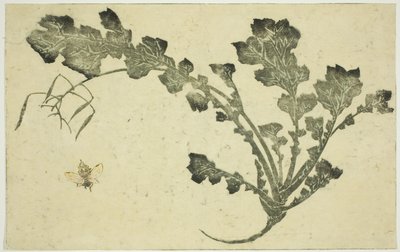 Vepse- og nepestilk, fra "The Picture Book of Realistic Paintings of Hokusai (Hokusai shashin gafu)" av Katsushika Hokusai