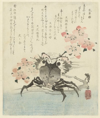 Krabbe med kirsebærblomst av Katsushika Taito II