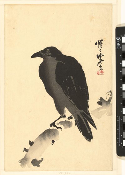 Kråke på en trestamme av Kawanabe Kyosai