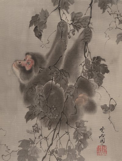 Monkey som henger fra Grapevines, ca. 1887. av Kawanabe Kyosai