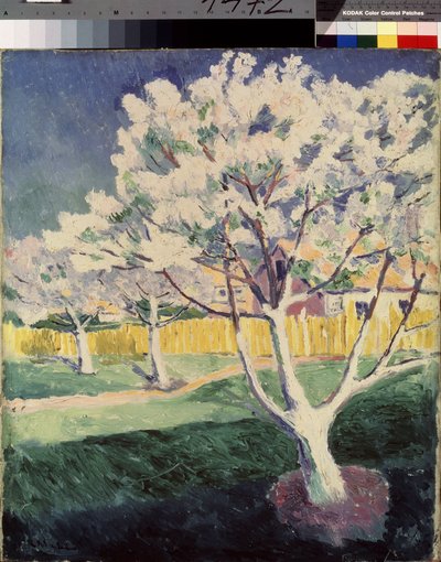 Sommerlandskap. Maleri av Kasimir Severinovich Malevich (Malevich, Malevic) (1878-1935), olje på lerret av Kazimir Severinovich Malevich