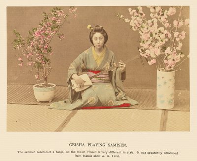 Geisha som spiller Samisen av Kazumasa Ogawa