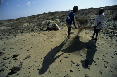 Allia Bay, Kenya; Turkana; Sikting etter fossiler, Alan Walker, Pennsylvania State University… av Kenneth Garrett
