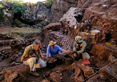Drimolean-området, nær Johannesburg, Sør-Afrika, 2 millioner år gammel hominid av Kenneth Garrett