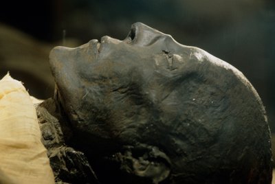  av Kenneth Garrett
