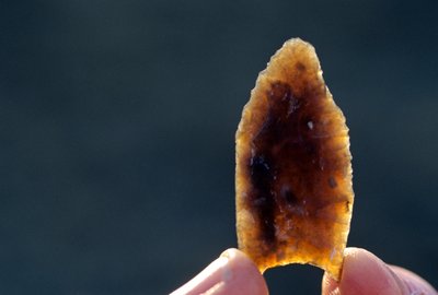 Befolkning av Amerika, Folsom Point, Black Water Draw, New Mexico, Stone Point, 2008 (bilde) av Kenneth Garrett