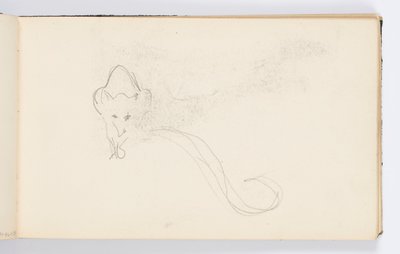Skissebokside: Sketch of a Genet av Kenyon Cox