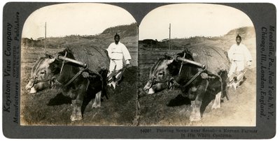 Jordbruk nær Seoul, Sør-Korea, 1900-tallet. av Keystone View Company