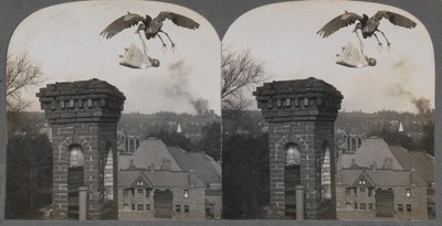 I gamle tider, hvis folk var gode, ville storken bringe en baby søt og rettferdig, 1907. av Keystone View Company