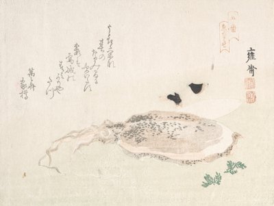 Cuttle Fish, tidlig på 1800-tallet. av Kikuchi Yosai