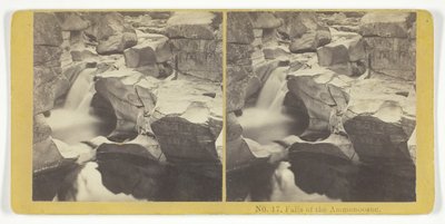 Falls of the Ammonoosuc, 185575. Skapere: Kilburn Brothers, BW Kilburn. av Kilburn Brothers, BW Kilburn