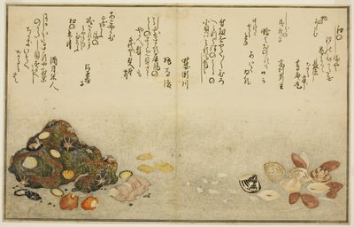 Føtter utenfor, muslinger, kogai, spurver utenfor, Akoya utenfor, plan d Katashi utenfor, fra tee st latte )" av Kitagawa Utamaro