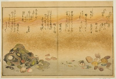 Føtter utenfor, muslinger, kogai, spurver utenfor, Akoya utenfor, plan d Katashi utenfor, fra tee st latte )" av Kitagawa Utamaro