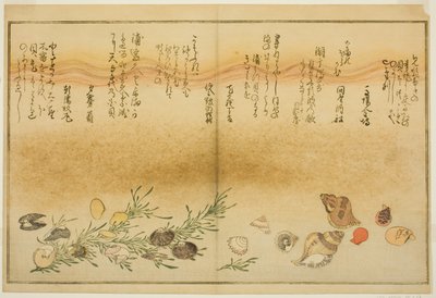 Det er Benny, det er Skrekk, det er Urauzu-gai, Forgotten-gai, Chiyo-no-hana-gai, Plan d Masho-gai, fra te i stratte d ko k "Teknikk fts fra te eh b på bakken ( tidevann) bladblader av av Kitagawa Utamaro