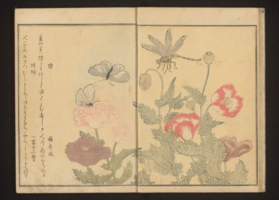 Sommerfugler og øyenstikkere nær valmuer av Kitagawa Utamaro