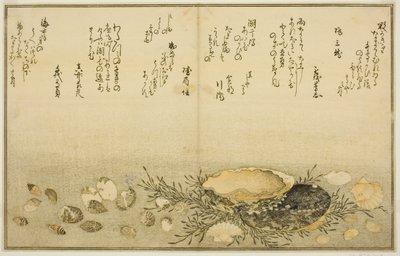 Chidori - utenfor, smerte - utenfor, abalone, bevege seg - utenfor, muslinger - ute, det er en idé for Allah, fra latte-bladbladene til av Kitagawa Utamaro