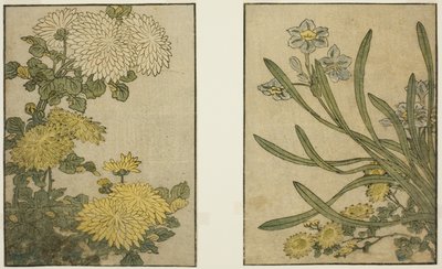 Chrysanthemum and Narcissus, from the illustrated book "Picture Book: Flowers of the Four Seasons (Ehon shiki no hana)," vol. 2   1292953   no       norwegian Successfully Translated  Original: Triomf van Christus (tweede deel) Translat: Triomf van Christu av Kitagawa Utamaro
