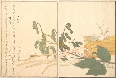 Kjeglehodet gresshoppe eller gresshoppe, batta, Praying Mantis Toro eller Kamakiri..., 1788. av Kitagawa Utamaro