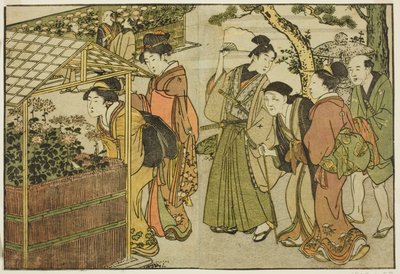 Visning av krysantemum, fra den illustrerte boken "Picture Book: Flowers of the Four Seasons (Ehon shiki no hana)," vol. 2 av Kitagawa Utamaro