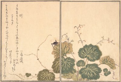Meitemark Mimizu, Cricket Korogi..., 1788. av Kitagawa Utamaro