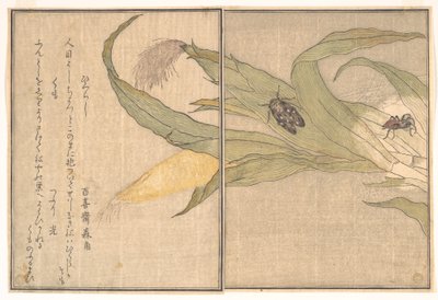  av Kitagawa Utamaro