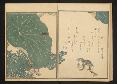 Frosker og gullbug nær lotus av Kitagawa Utamaro