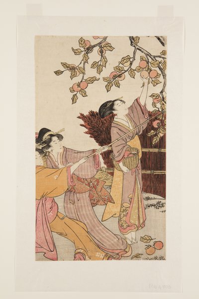 Gathering Persimmons (farget treblokktrykk) av Kitagawa Utamaro