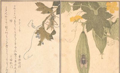 G Rasshoppe r Grasshopper, Shikada Cicada. . . , 1788. av Kitagawa Utamaro