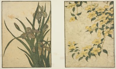 Kerria and Iris, from the illustrated book "Picture Book: Flowers of the Four Seasons (Ehon shiki no hana)," vol. 1   1302075   no       norwegian Successfully Translated  Original: La Place Des Vosges, 1928. Translat: La Place Des Vosges, 1928. 1175612 no av Kitagawa Utamaro
