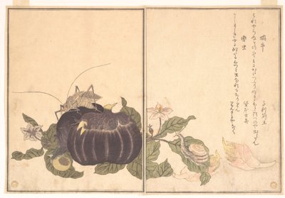  av Kitagawa Utamaro