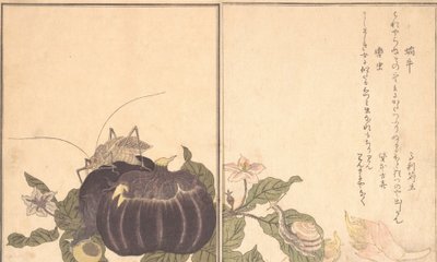 En snegl i viften d S, en snegl i nebben. . . , 1788. av Kitagawa Utamaro