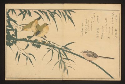 Langmeis og hvitøye av Kitagawa Utamaro